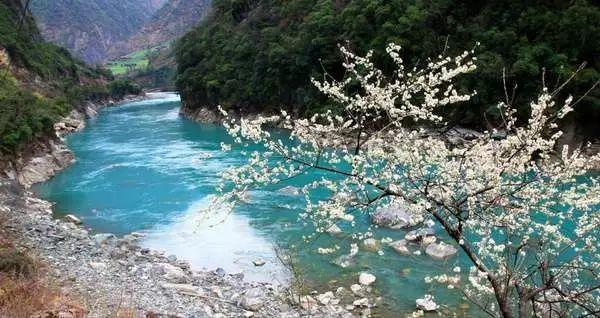 虫虫助手下载