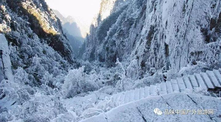 虫虫助手下载